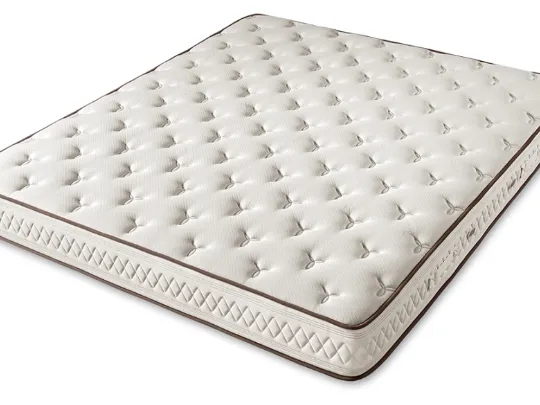 Dorsopedic Reflection Healthy