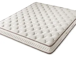 Dorsopedic Reflection Healthy