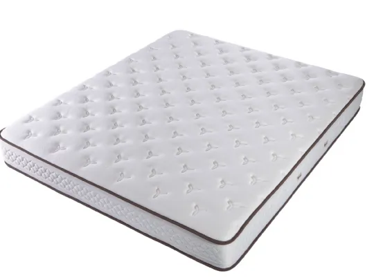 Dorsopedic Eminence Natural