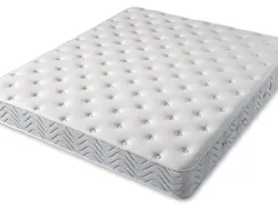 Dorsopedic Superior Healthy