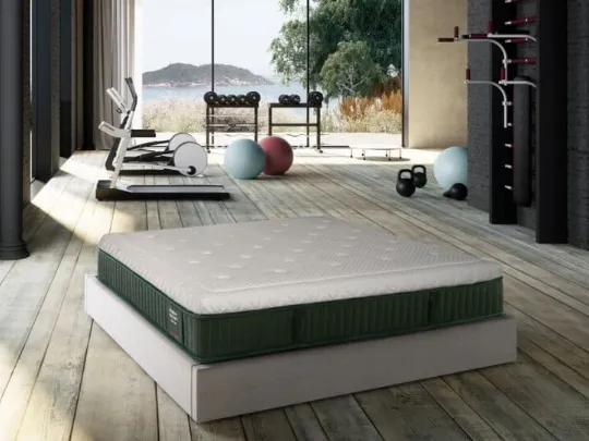 Body Trainer