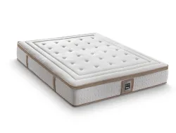 Talea Plus