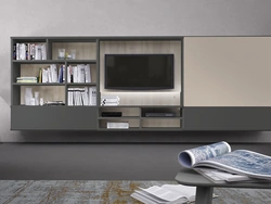 Infinity L24