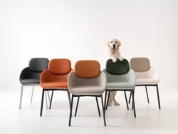 Tata Poltroncina