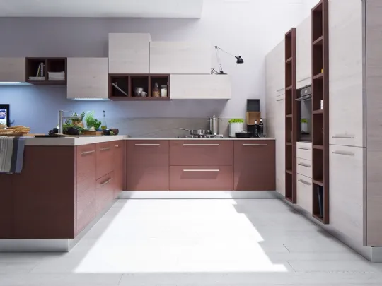 Zenzero Rovere Vinaccia